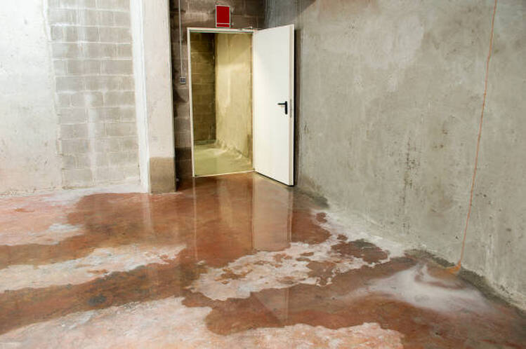 A basement with water damage and pooled water on the floor in Norwalk.